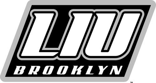 LIU-Brooklyn Blackbirds 2008-Pres Alternate Logo v2 diy fabric transfer